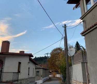 Kato Pedina Ski Chalet | FOREST VIEW ELISAVET