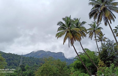 Anaviratty House | Forest View Home Stay Munnar