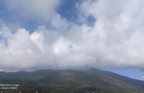 Anaviratty House | Forest View Home Stay Munnar