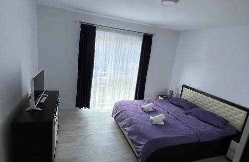 Campulung Moldovenesc Apartment | Forest View