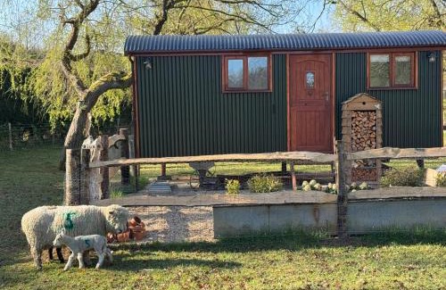 Ewhurst Apartment | Forest view shepherds hut