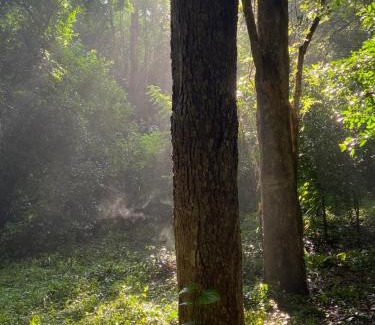 Thanamalvila House | Forests for People Nidikumba Safari
