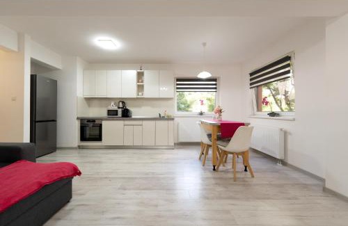 Sfantu Gheorghe Apartment | Fortuna Park Apartman