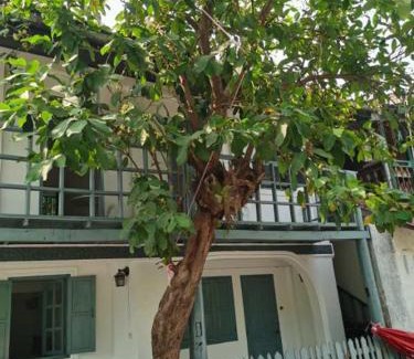 Luang Prabang House | Fortunate angle guesthouse 乐居