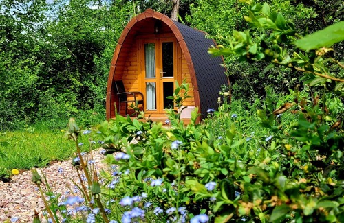 Elchweiler Apartment | Foxhole, 1 pod, max. 2 persons