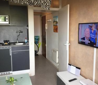 Frejus Plage Apartment | Fréjus Studio