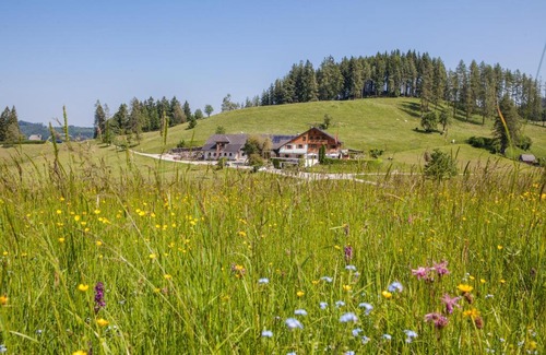 Neukirchen bei Altmunster Hotel | Frühstückspension Windlegern