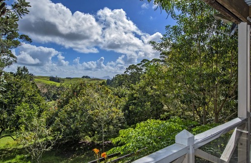 Waipu House | Francis Orchard Country Stay - Waipu Holiday Home