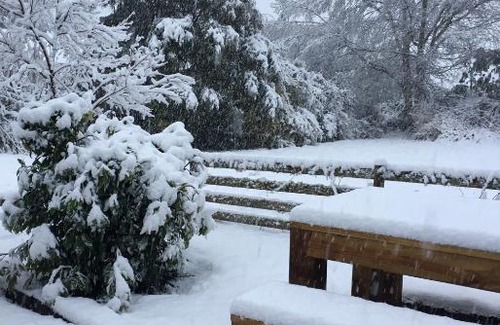 Ohakune Bed & Breakfast | Frankie & Hugh's