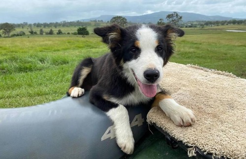 Frazerview House | Frazerview Stay - Farm House - Sleeps 10 - Scenic Rim