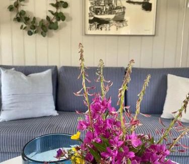 Fredvang House | Fredvang holiday house, Lofoten