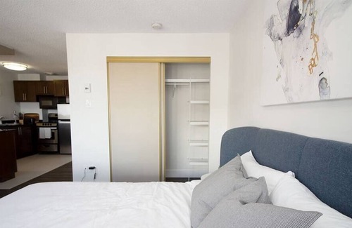 Downtown Winnipeg Apartment | Free Parking & Wi-Fi! Luxury Studio Suite