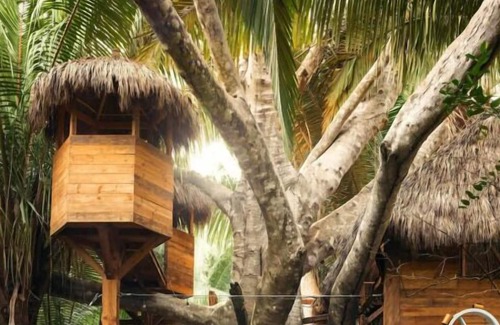 Lo de Marcos House | Friends and Family Gulf Getaway! Outdoor Pools, Beachfront, Free Parking!