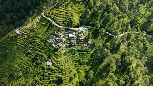 Ranikhet Resort | Friendship Lane