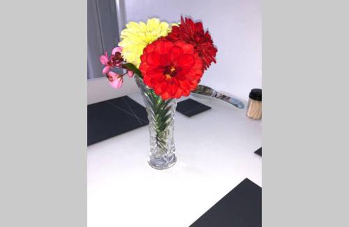 Oranmore Apartment | Fuchsia Apartment Tranquil Modern Seaside Apartment on the Wild Atlantic Way