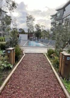 Pucon Apartment | Full departamento nuevo en Pucon