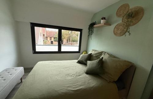 Widensolen House | Full House, Jacuzzi, Netflix, 8 pers, free Parking 10' Colmar