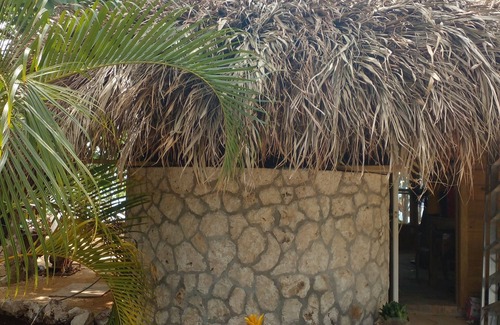 Green Island Cabin | Full Ocean Front Cabin By the Beach