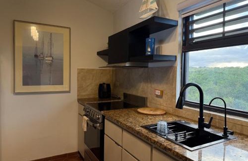 Candelero Abajo Apartment | Full Ocean Views at Palmas del Mar Resort