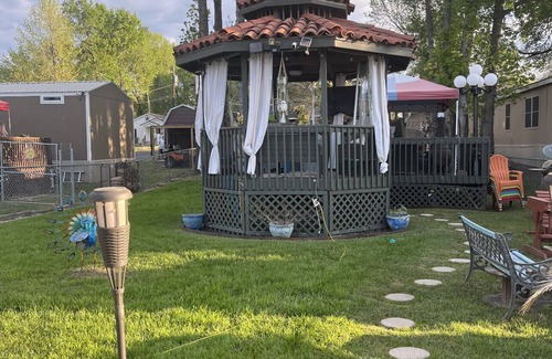 Willis House | Fun in the sun