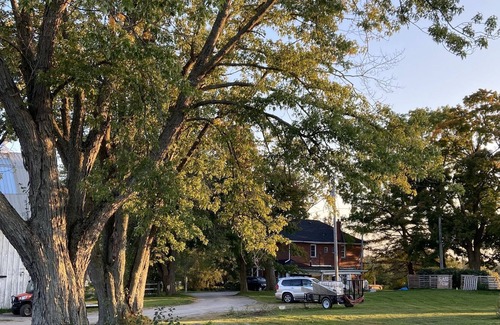 Durham Region Apartment | Fun on Our Family Farm. Visit Horses and Goats. 100 Acres to Explore.
