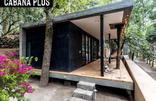 Tepoztlan Apartment | Fungi Tepoz Cabins