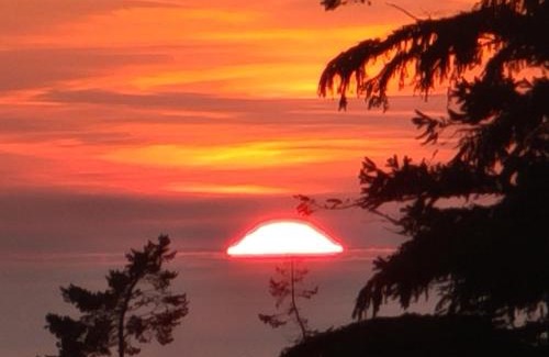 Juan de Fuca Electoral Area Bed & Breakfast | Funky Forest Bnb