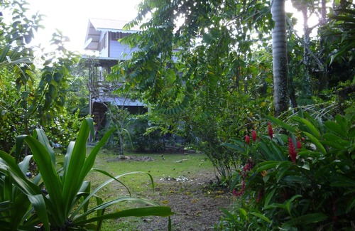 Big Creek Apartment | Furnished Caribean Style House, 150m From The Beach And Still Close To Town.