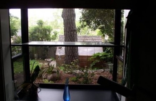 Berkeley House | Furnished Family Home, June 6-August 1, 2022 Dog OK, 1BR, 1 BA