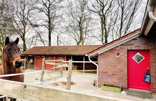Großheide Cottage | Gästehaus in Idyllischer Lage