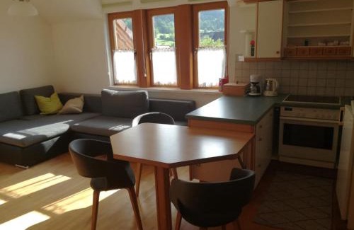 Bad Mitterndorf House | Gästehaus Lemmerer