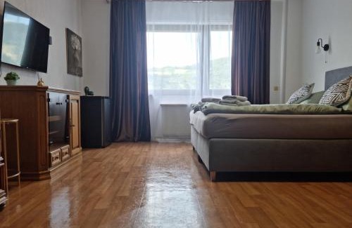 Wintrich Apartment | Gästehaus Ritz