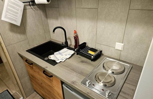 Lottstetten Apartment | Gästewohnung 4 mit Terrasse All Inclusive