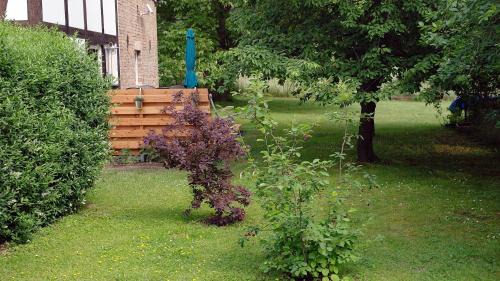 Wesenberg Apartment | Gästewohnung A+C Bovet