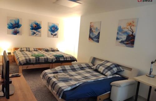 Oetisheim Apartment | Gästezimmer La Siesta