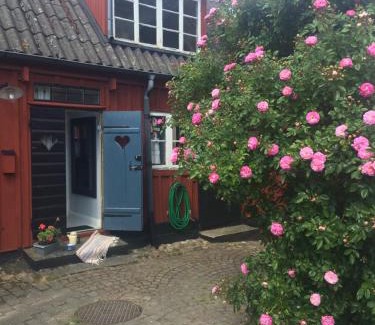 Aahus Cabin | Gårdshus Torget Åhus