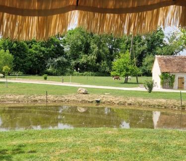 Soings-en-Sologne House | Gîte à la campagne au calme