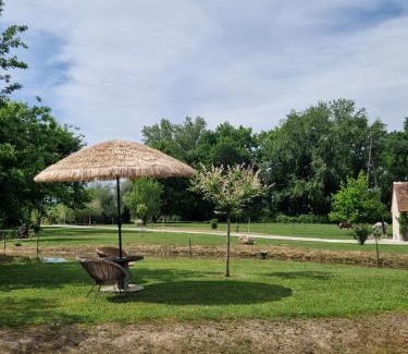 Soings-en-Sologne House | Gîte à la campagne au calme