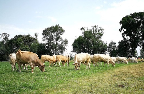 Revel House | Gîte à la Ferme de la Bouriette Au Milieu des Prés et des Vaches !