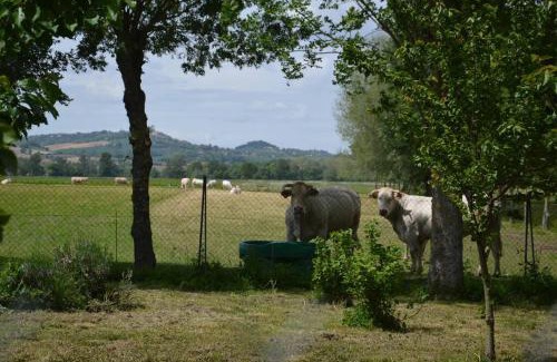 Revel House | Gîte à la Ferme de la Bouriette