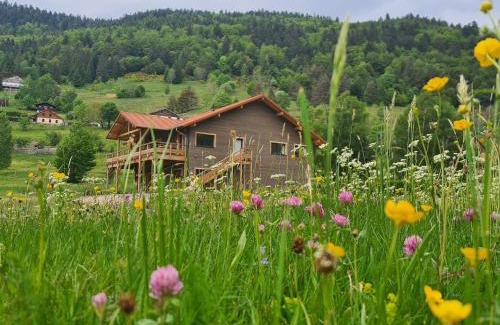 La Bresse House | Gîte 4 étoiles à La Bresse, grand confort, proche station ski - FR-1-589-394
