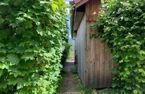 Le Thillot House | Gîte Au bout des Mynes avec vue panoramique