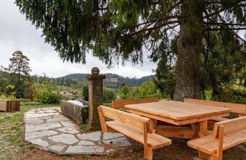 Belfahy House | Gîte chaleureux dans les Vosges avec cheminée - FR-1-583-437