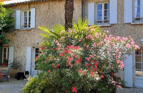 Chateauneuf-sur-Charente House | Gîte cosy avec jardin clos, terrasse et piscine à proximité, idéal pour famille et détente - FR-1-653-254