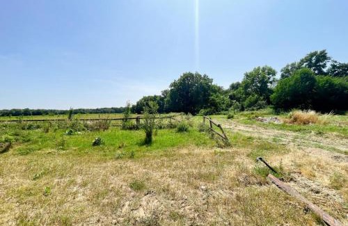 Courcelles-de-Touraine House | Gîte de charme avec animaux admis, proche châteaux de la Loire - FR-1-381-627