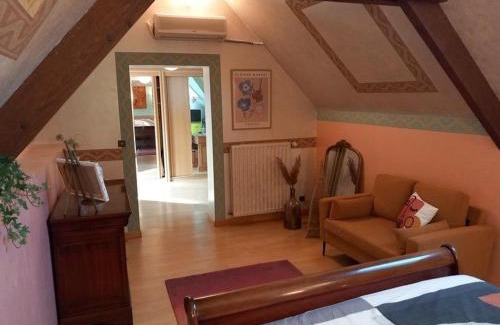 Vinon House | Gîte de Charme avec Spa, Billard, Jardin et Ping-Pong - FR-1-586-54