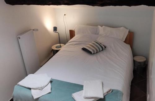 Cellieu House | Gîte de Charme avec Spa, Hammam et Vélo Électrique près du Parc du Pilat - FR-1-496-8