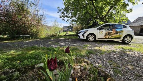 Chaumeil Apartment | Gîte de France Des alpagas 2 épis - Gîte de France 12 personnes MAE-9944