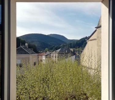 Saint-Jean-du-Bruel Apartment | Gîte de séjour et d'étape l'Escampette