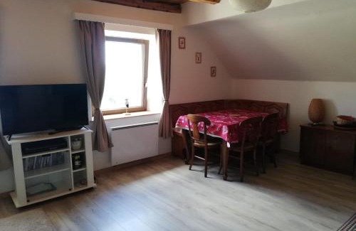 Wangenbourg-Engenthal Apartment | Gîte des abeilles du Kohlberg